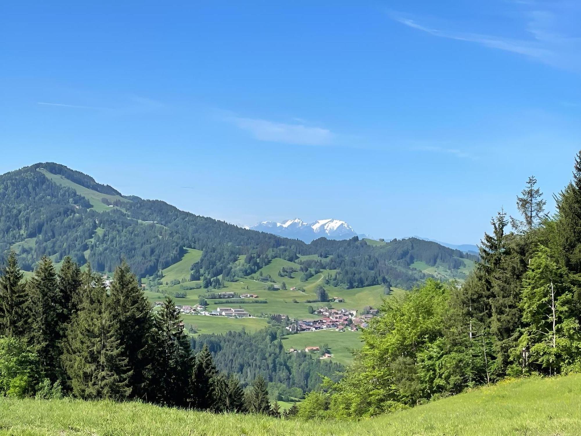Kuh'Les Hideaway Steibis 3-Zimmer Ferienwohnung 55 M² Oberstaufen Buitenkant foto