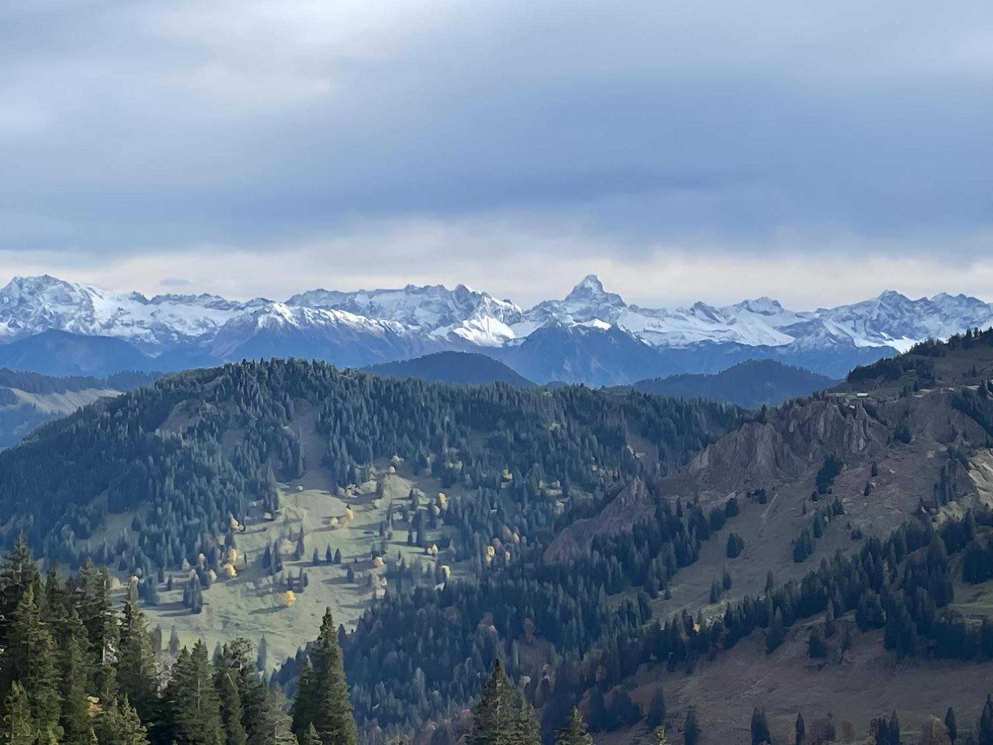 Kuh'Les Hideaway Steibis 3-Zimmer Ferienwohnung 55 M² Oberstaufen Buitenkant foto