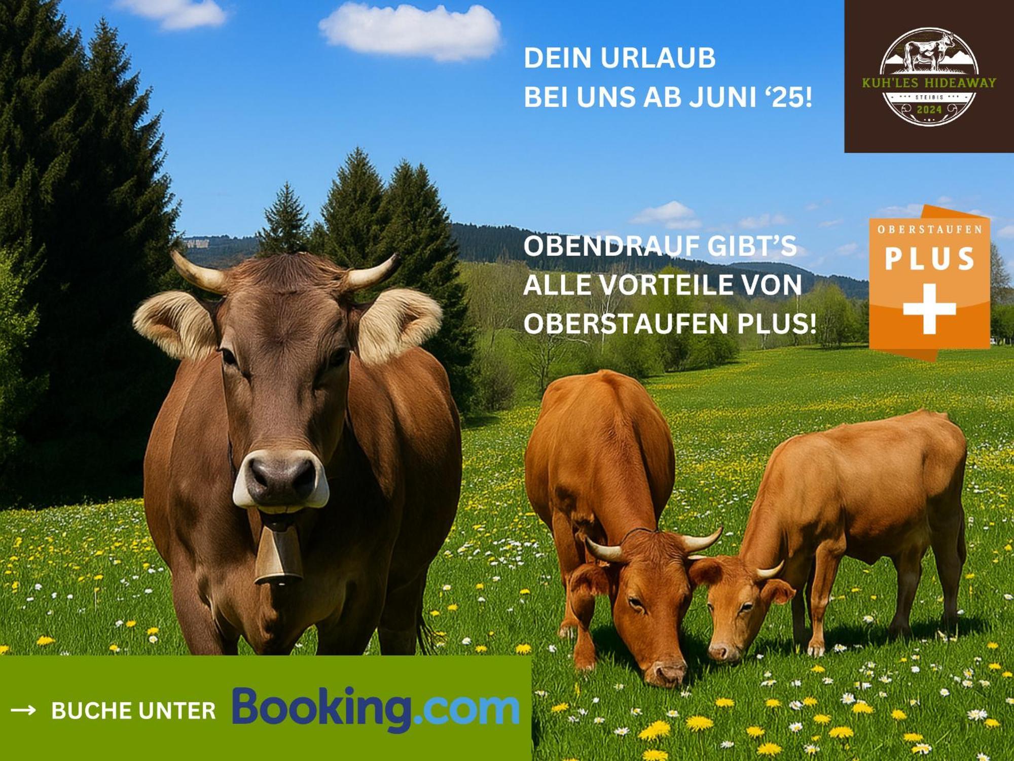 Kuh'Les Hideaway Steibis 3-Zimmer Ferienwohnung 55 M² Oberstaufen Buitenkant foto