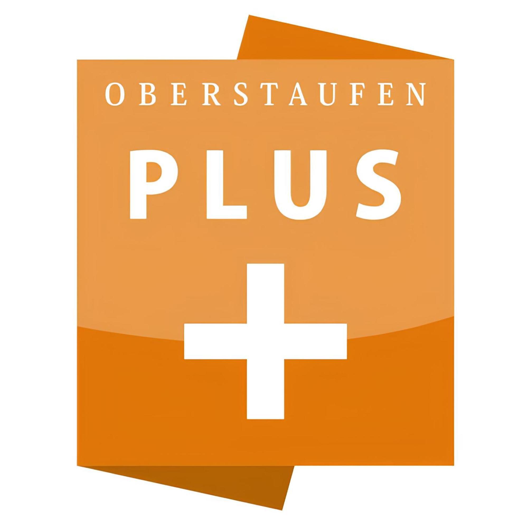 Kuh'Les Hideaway Steibis 3-Zimmer Ferienwohnung 55 M² Oberstaufen Buitenkant foto