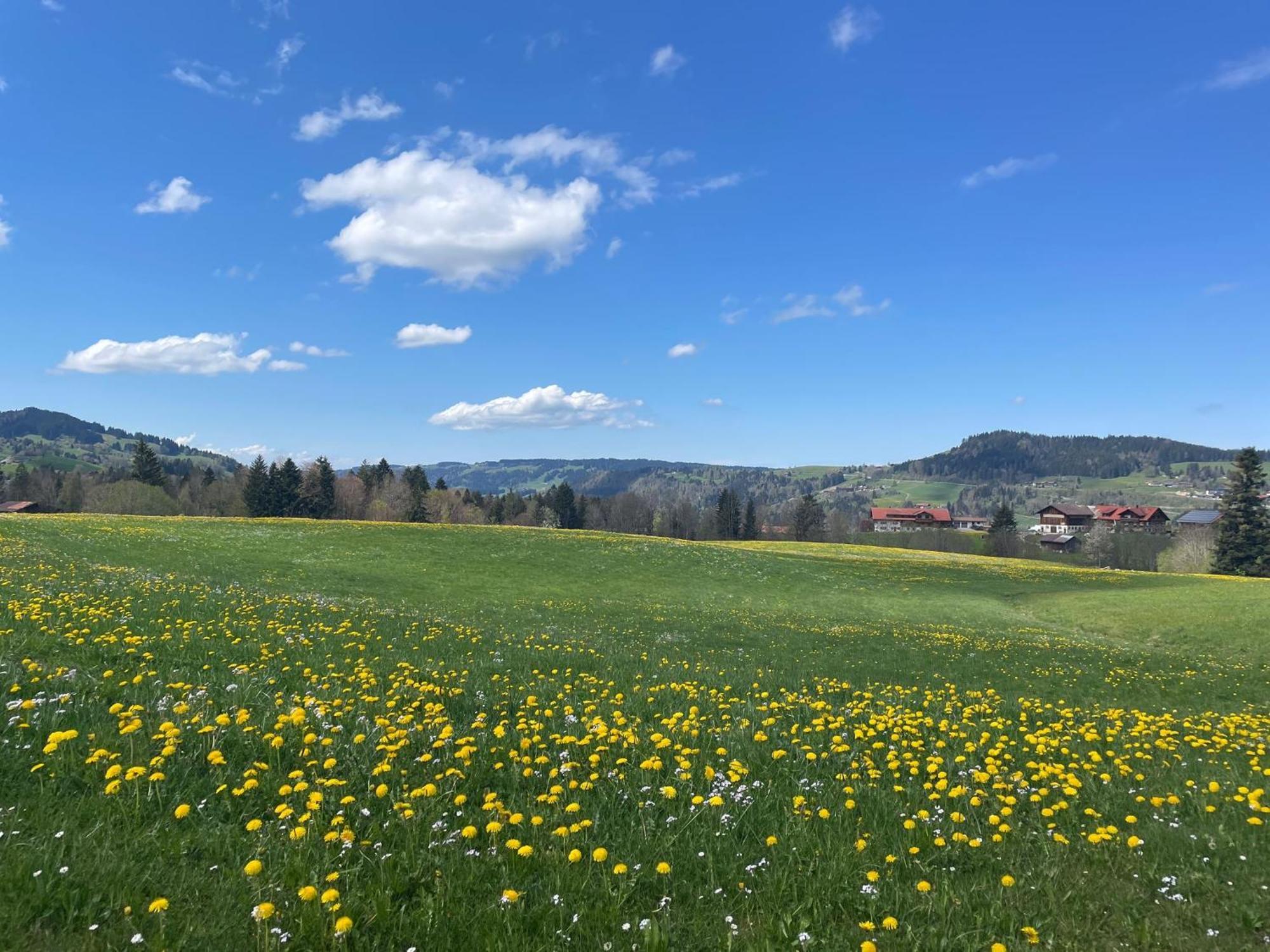 Kuh'Les Hideaway Steibis 3-Zimmer Ferienwohnung 55 M² Oberstaufen Buitenkant foto